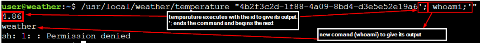 Snowcat RCE & Priv Esc