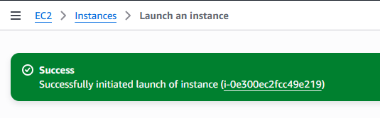 Success banner: Successfully initiated launch of instance